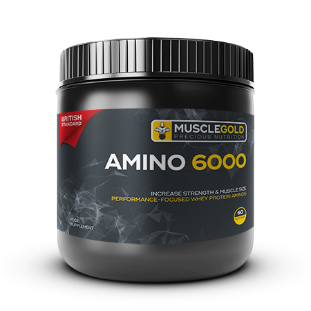 AMINO 6000 (240 TAB)